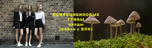 крисы Бородино