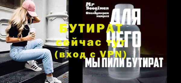 крисы Бородино