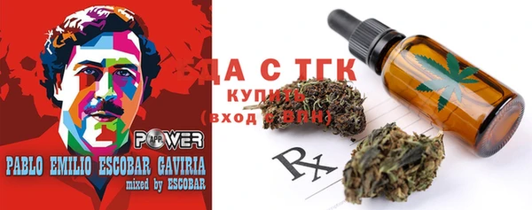 крисы Бородино