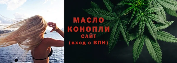 крисы Бородино