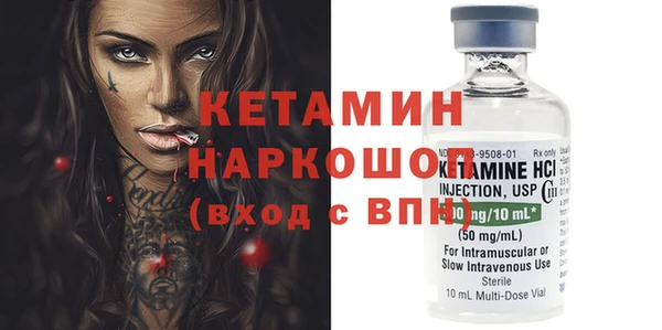 крисы Бородино