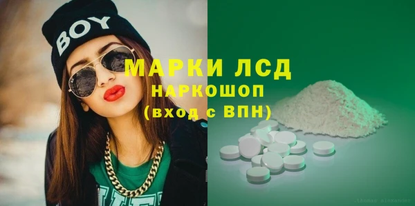 крисы Бородино