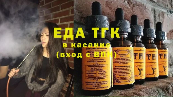 крисы Бородино