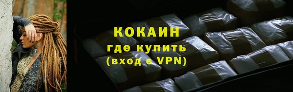 крисы Бородино