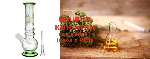 крисы Бородино