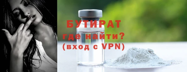 крисы Бородино