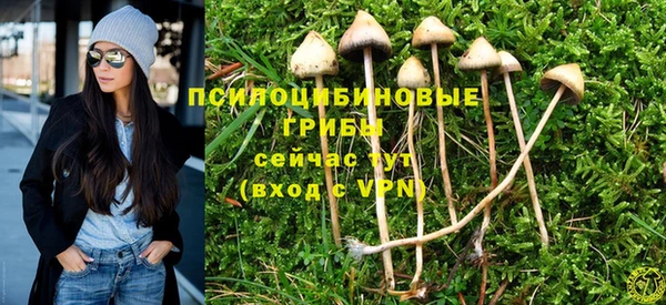 крисы Бородино