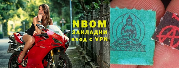 крисы Бородино