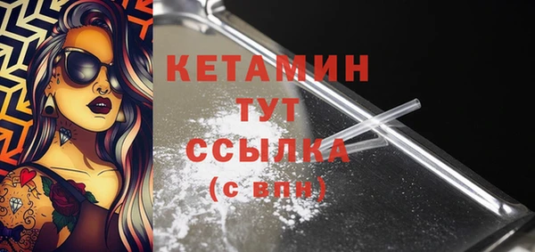 крисы Бородино