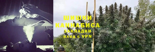 дмт Бугульма