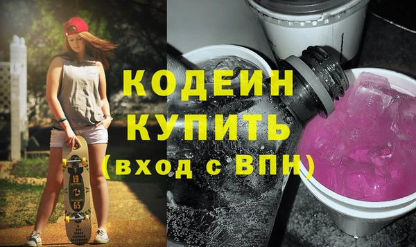 крисы Бородино