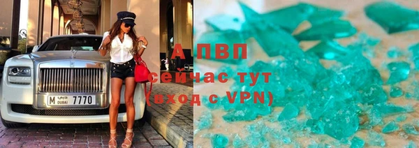 крисы Бородино
